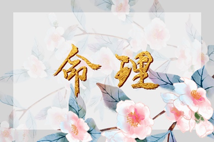 日历黄道吉日查询_查日历农历_农历日历2026年完整版